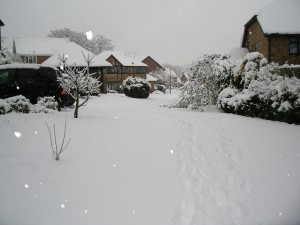 The road from our house